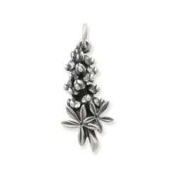 Bluebonnet Charm