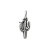 Saguaro Cactus With Bird Charm